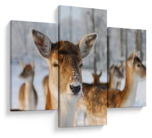 Slika -Bambi (90x60 cm)