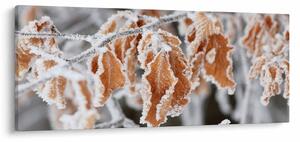 Slika - Smrznuto lišće (120x50 cm)