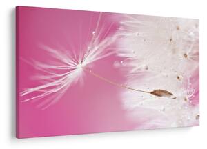 Slika - Makro cvijet (90x60 cm)