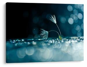 Slika - Makro (70x50 cm)