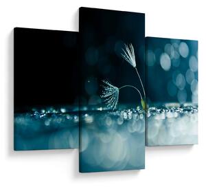 Slika - Makro (90x60 cm)