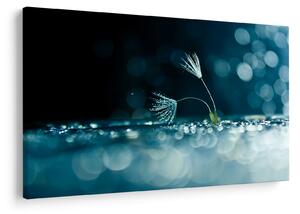 Slika - Makro (90x60 cm)
