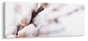Slika - Grana s macicama vrbe ive (120x50 cm)