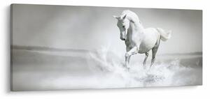 Slika - Bijeli konj (120x50 cm)