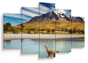 Slika - Nacionalni park Torres del Paine (150x105 cm)