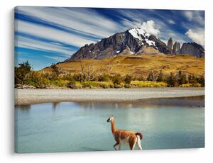 Slika - Nacionalni park Torres del Paine (70x50 cm)