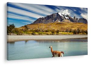 Slika - Nacionalni park Torres del Paine (90x60 cm)
