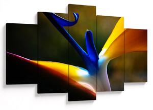Slika - Egzotični cvijet (150x105 cm)