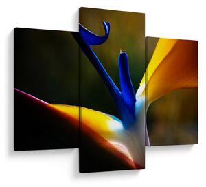 Slika - Egzotični cvijet (90x60 cm)