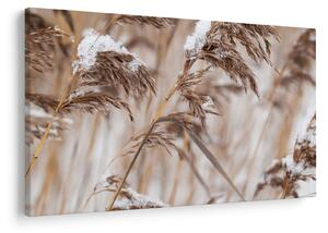 Slika - Lipnice (90x60 cm)