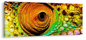 Slika - Kameleon (120x50 cm)