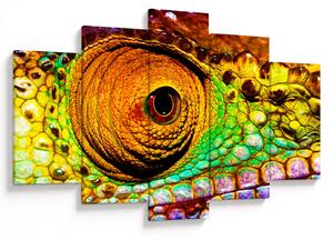 Slika - Kameleon (150x105 cm)