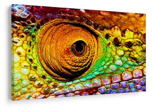 Slika - Kameleon (90x60 cm)