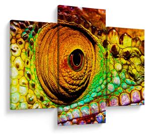 Slika - Kameleon (90x60 cm)