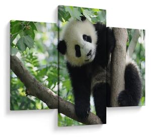 Slika - Panda na drvetu (90x60 cm)