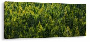 Slika - Gusta šuma (120x50 cm)