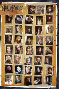 Poster Harry Potter - Likovi, (61 x 91.5 cm)