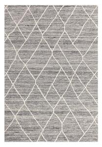 Sivi vuneni tepih 120x170 cm Noah – Asiatic Carpets