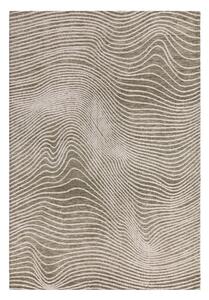 Zeleni/krem tepih 200x290 cm Mason – Asiatic Carpets