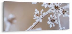 Slika - Mraz (120x50 cm)