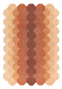 Ciglasti vuneni tepih 120x170 cm Hive – Asiatic Carpets