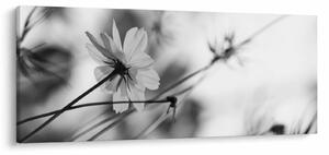 Slika - Crno-bijelo cvijeće (120x50 cm)