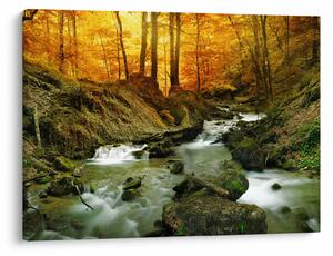 Slika - Šuma (70x50 cm)