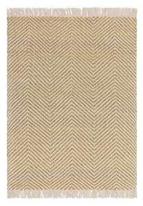Oker žuti tepih 120x170 cm Vigo – Asiatic Carpets