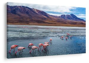 Slika - Flamingosi (90x60 cm)