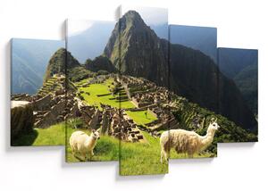 Slika - Lame u Machu Picchu (150x105 cm)