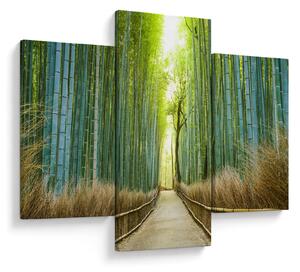 Slika - Put s bambusima (90x60 cm)