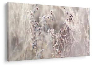 Slika - Biljka (90x60 cm)