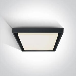 STROPNA SVJETILJKA LED 30W 2500lm IP54 CRNA DM67384A/AN/W