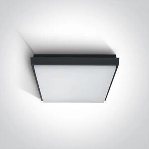PLAFONJERA LED/20W/1600lm/3000K/230V IP54 ANTRACIT DM67362A/AN/W