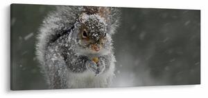 Slika - Vjeverica zimi (120x50 cm)