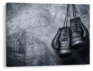 Slika - Rukavice za boks (70x50 cm)