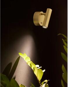 CLIP ZIDNA LAMPA LED 3W/3000K/190lm/IP20/ZLATNI MESING NL9030203