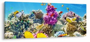 Slika - Morski svijet (120x50 cm)