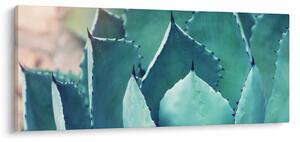 Slika - Sukulent (120x50 cm)