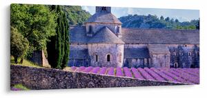 Slika - Polje lavande (120x50 cm)