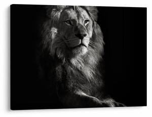 Slika - Lav (70x50 cm)