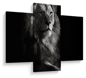 Slika - Lav (90x60 cm)