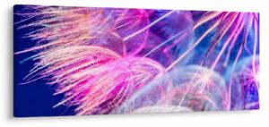 Slika - Makro (120x50 cm)