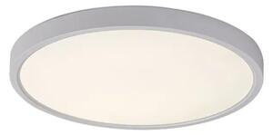 PAULOS STROPNA SVJETILJKA LED 24/BIJELA/IP20/2230lm RA71073