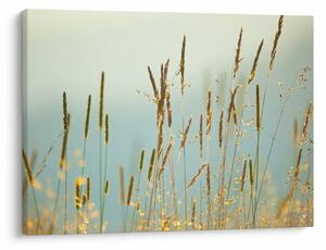 Slika - Trenutak na livadi (70x50 cm)