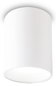NITRO LED STROPNA LAMPA PL OKRUGLA D08 BIJELA ID205991