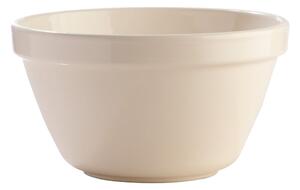 Bijela zemljana zdjela Mason Cash Basin, ⌀ 22 cm
