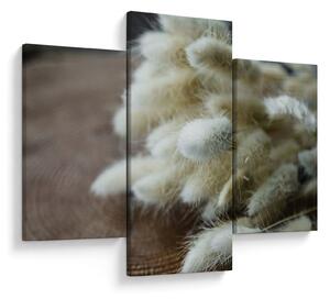 Slika - Zekin rep (90x60 cm)