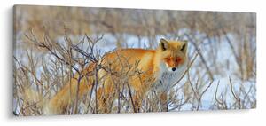 Slika - Lisac (120x50 cm)