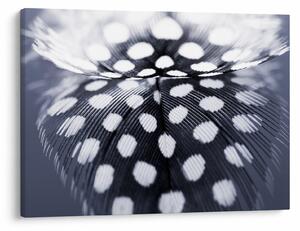 Slika - Perce (70x50 cm)